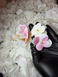 Boucle d’oreille en fleure créole blanche rose